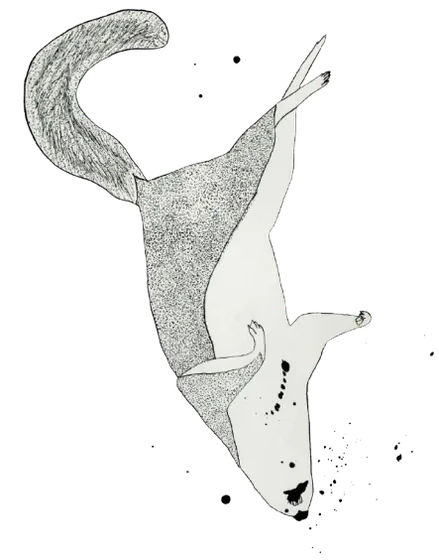 drawings